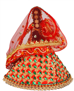 Rajput Princess Jodha Bai inspired by the Bollywood Movie Jodha-Akbar